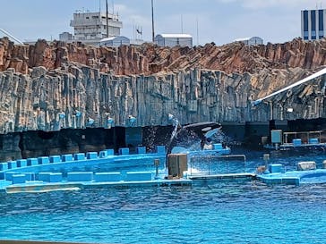 名古屋港水族館に投稿された画像（2023/8/13）