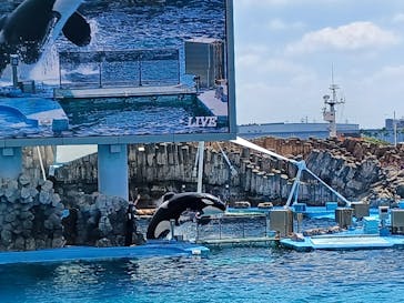 名古屋港水族館に投稿された画像（2023/8/13）
