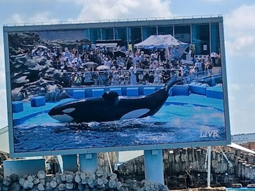名古屋港水族館に投稿された画像（2023/8/13）