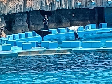 名古屋港水族館に投稿された画像（2023/8/13）