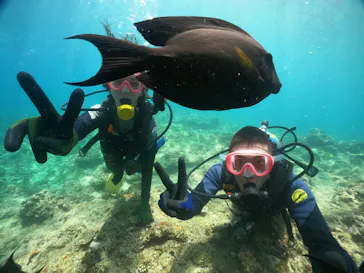 武藤潜水に投稿された画像（2023/8/13）