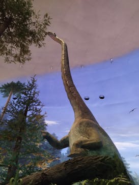 福井県立恐竜博物館に投稿された画像（2023/8/13）