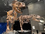 特別展「恐竜博2023」に投稿された画像（2023/8/13）
