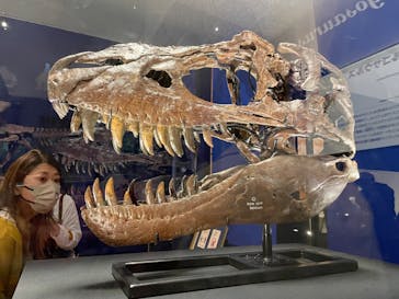 特別展「恐竜博2023」に投稿された画像（2023/8/13）