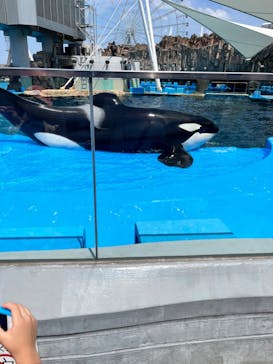 名古屋港水族館に投稿された画像（2023/8/13）