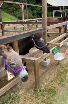 千葉市動物公園に投稿された画像（2023/8/13）