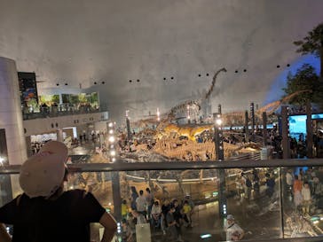 福井県立恐竜博物館に投稿された画像（2023/8/13）