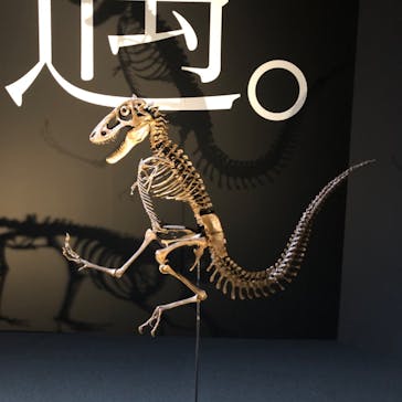 DinoScience 恐竜科学博 2023@TOKYO MIDTOWNに投稿された画像（2023/8/13）