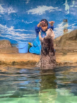 マリンワールド海の中道に投稿された画像（2023/8/13）