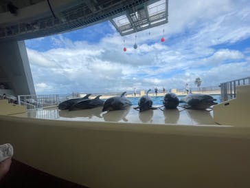 マリンワールド海の中道に投稿された画像（2023/8/13）