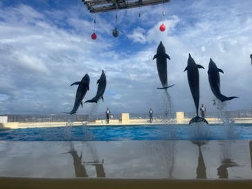 マリンワールド海の中道に投稿された画像（2023/8/13）