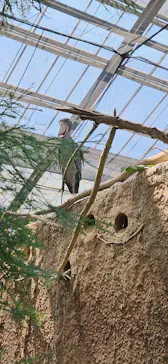 神戸どうぶつ王国に投稿された画像（2023/8/13）