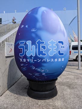 大分マリーンパレス水族館 「うみたまご」に投稿された画像（2023/8/13）