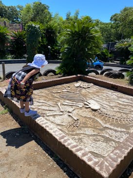 伊豆ぐらんぱる公園に投稿された画像（2023/8/13）