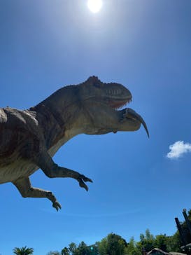 伊豆ぐらんぱる公園に投稿された画像（2023/8/13）