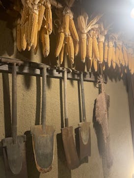 NESTA RESORT KOBE（ネスタリゾート神戸）に投稿された画像（2023/8/13）