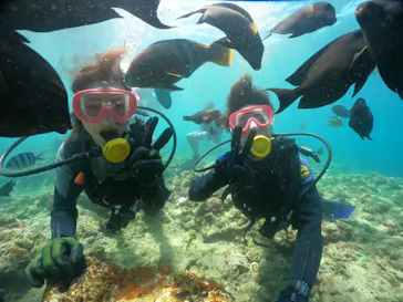 武藤潜水に投稿された画像（2023/8/13）