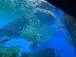 仙台うみの杜水族館に投稿された画像（2023/8/13）