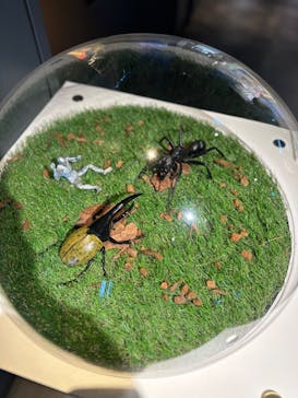 昆虫最強王図鑑展に投稿された画像（2023/8/13）