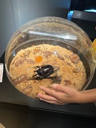 昆虫最強王図鑑展に投稿された画像（2023/8/13）