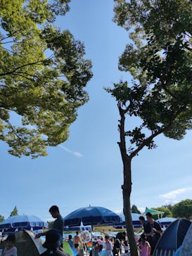 県民公園 太閤山ランドに投稿された画像（2023/8/13）