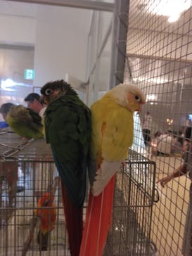 Moff animal cafe イオンモール幕張新都心店に投稿された画像（2023/8/13）