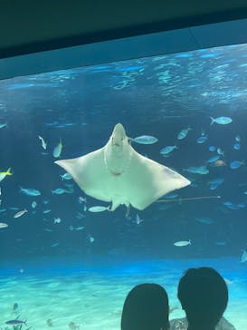 サンシャイン水族館に投稿された画像（2023/8/13）