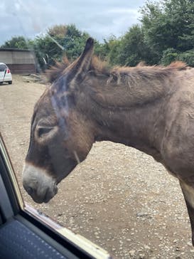 東北サファリパークに投稿された画像（2023/8/13）