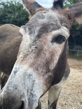 東北サファリパークに投稿された画像（2023/8/13）