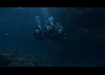 武藤潜水に投稿された画像（2023/8/13）