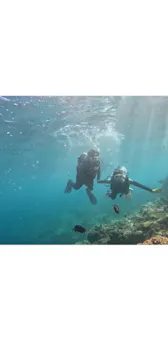 武藤潜水に投稿された画像（2023/8/13）