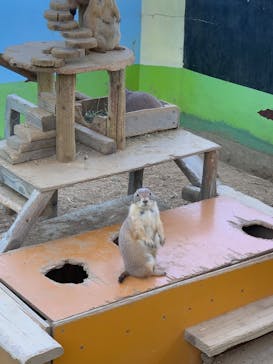 淡路ファームパーク イングランドの丘に投稿された画像（2023/8/13）