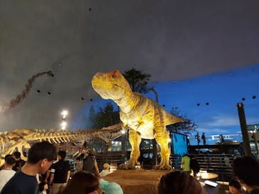 福井県立恐竜博物館に投稿された画像（2023/8/13）