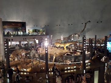 福井県立恐竜博物館に投稿された画像（2023/8/13）