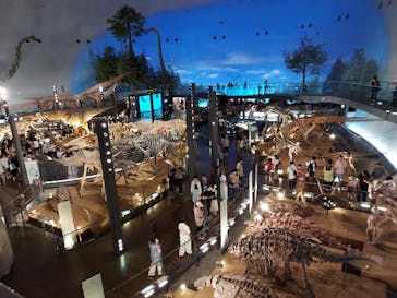 福井県立恐竜博物館に投稿された画像（2023/8/13）