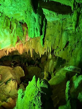 あぶくま洞に投稿された画像（2023/8/13）