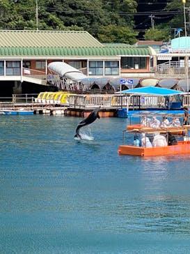 下田海中水族館に投稿された画像（2023/8/13）