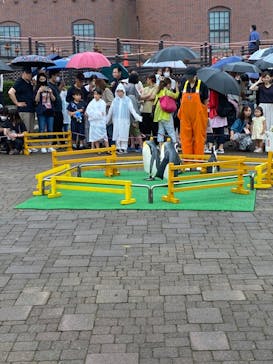 登別マリンパークニクスに投稿された画像（2023/8/13）