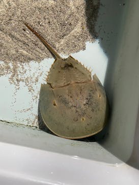 登別マリンパークニクスに投稿された画像（2023/8/13）