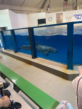 登別マリンパークニクスに投稿された画像（2023/8/13）