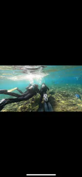 武藤潜水に投稿された画像（2023/8/13）