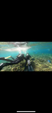 武藤潜水に投稿された画像（2023/8/13）