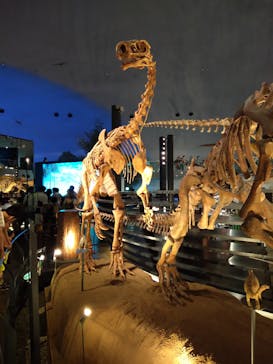 福井県立恐竜博物館に投稿された画像（2023/8/13）