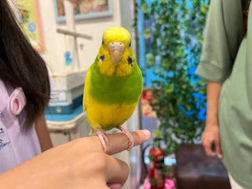 アニタッチみなとみらいに投稿された画像（2023/8/13）