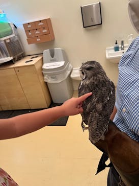 Moff animal cafe イオンモール幕張新都心店に投稿された画像（2023/8/13）