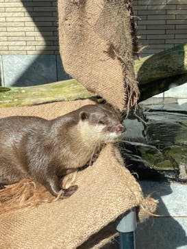 下田海中水族館に投稿された画像（2023/8/13）