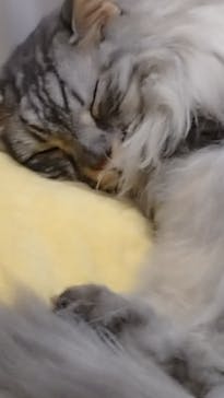 ナンジャタウンに投稿された画像（2023/8/13）