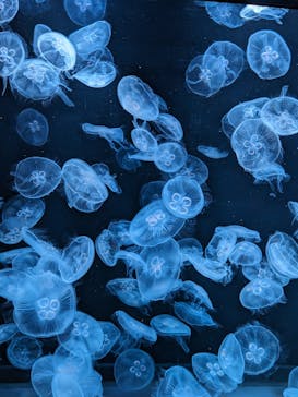 AOAO SAPPOROに投稿された画像（2023/8/13）