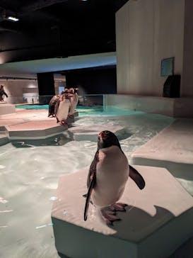 AOAO SAPPOROに投稿された画像（2023/8/13）