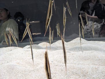 AOAO SAPPOROに投稿された画像（2023/8/13）